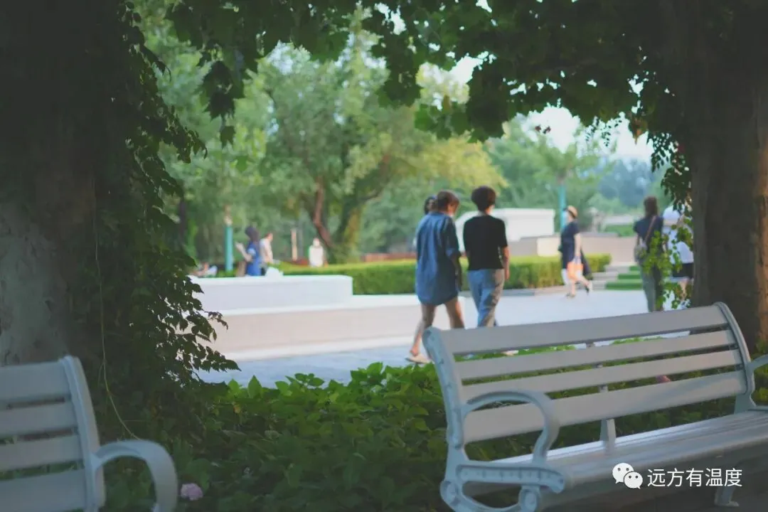 夏天的气息～