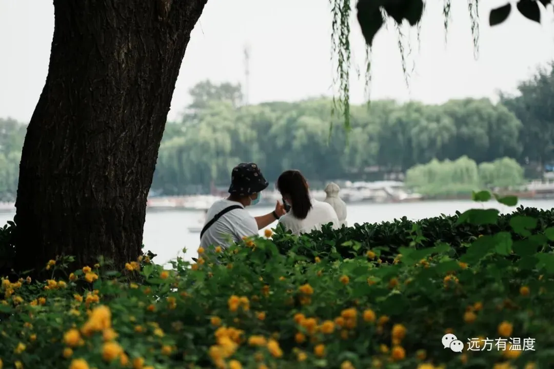 一起来留个纪念叭。