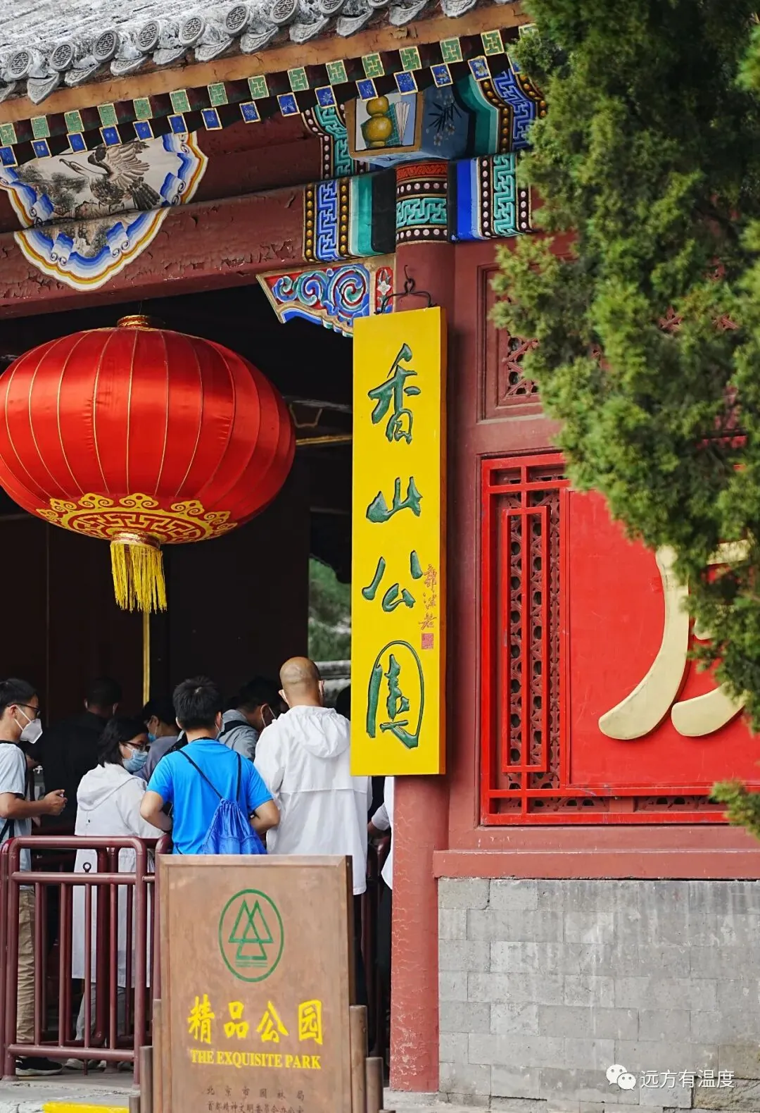 山不见我，我自去见山。