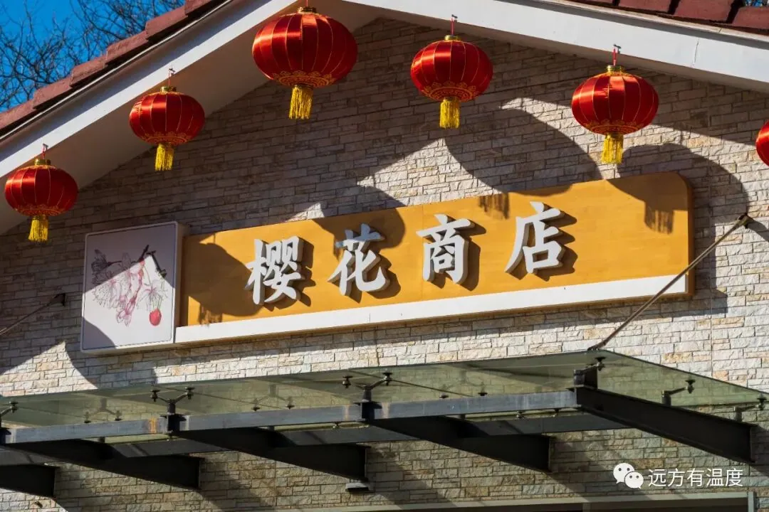 未遇樱花，但见小店，贩卖创意